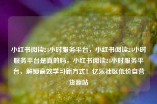 小红书阅读24小时服务平台，小红书阅读24小时服务平台是真的吗，小红书阅读24小时服务平台，解锁高效学习新方式！亿乐社区低价自营货源站