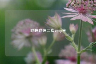 哔哩哔哩二次元up主