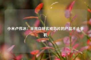 小米卢伟冰：采用自研玄戒芯片的产品不止手机
