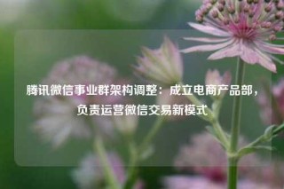 腾讯微信事业群架构调整：成立电商产品部，负责运营微信交易新模式