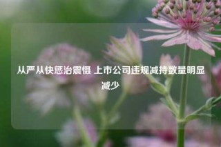 从严从快惩治震慑 上市公司违规减持数量明显减少