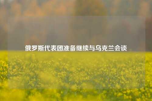 俄罗斯代表团准备继续与乌克兰会谈  第1张