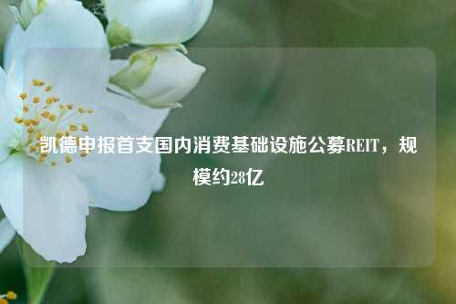 凯德申报首支国内消费基础设施公募REIT	，规模约28亿  第1张