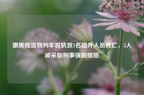 嫩黑线货物列车脱轨致1名路外人员死亡	，3人被采取刑事强制措施  第1张