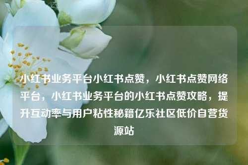 小红书业务平台小红书点赞，小红书点赞网络平台，小红书业务平台的小红书点赞攻略	，提升互动率与用户粘性秘籍亿乐社区低价自营货源站  第1张