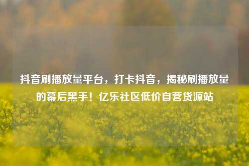 抖音刷播放量平台，打卡抖音，揭秘刷播放量的幕后黑手！亿乐社区低价自营货源站  第1张
