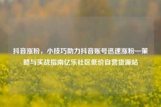 抖音涨粉，小技巧助力抖音账号迅速涨粉—策略与实战指南亿乐社区低价自营货源站