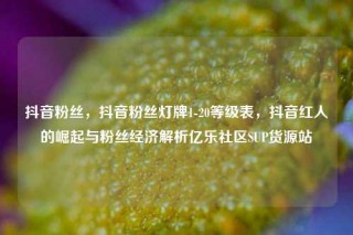 抖音粉丝，抖音粉丝灯牌1-20等级表，抖音红人的崛起与粉丝经济解析亿乐社区SUP货源站