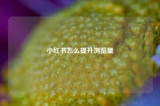 小红书怎么提升浏览量