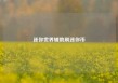 迷你世界辅助刷迷你币