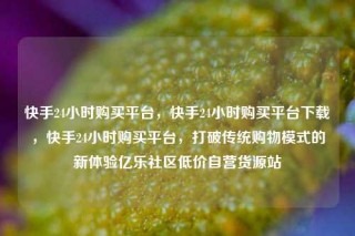 快手24小时购买平台，快手24小时购买平台下载，快手24小时购买平台，打破传统购物模式的新体验亿乐社区低价自营货源站