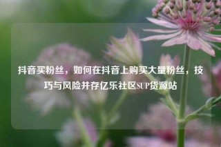 抖音买粉丝，如何在抖音上购买大量粉丝，技巧与风险并存亿乐社区SUP货源站