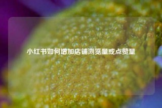 小红书如何增加店铺浏览量或点赞量