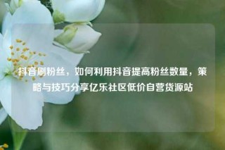 抖音刷粉丝，如何利用抖音提高粉丝数量，策略与技巧分享亿乐社区低价自营货源站