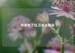 等我有了钱,豆浆买两碗