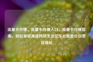 流量卡办理，流量卡办理入口，流量卡办理指南，轻松享受高速网络生活亿乐社区低价自营货源站