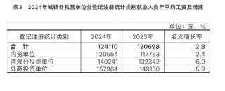 2024年城镇单位就业人员年平均工资情况