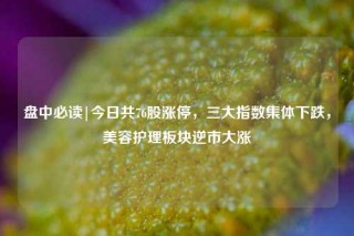 盘中必读|今日共76股涨停，三大指数集体下跌，美容护理板块逆市大涨