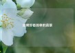 招聘好看简单的背景