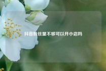 抖音粉丝量不够可以开小店吗