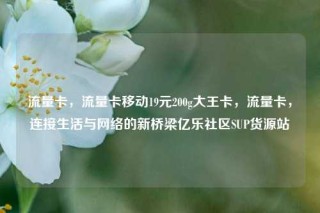 流量卡，流量卡移动19元200g大王卡，流量卡，连接生活与网络的新桥梁亿乐社区SUP货源站