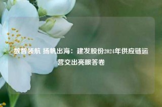 数智领航 扬帆出海：建发股份2024年供应链运营交出亮眼答卷