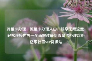 流量卡办理，流量卡办理入口，畅享无限流量，轻松连接世界—全面解读最新流量卡办理攻略亿乐社区SUP货源站
