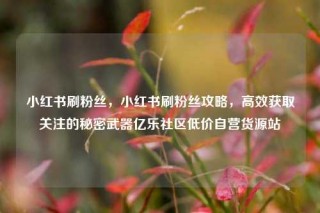 小红书刷粉丝，小红书刷粉丝攻略，高效获取关注的秘密武器亿乐社区低价自营货源站