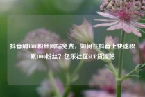 抖音刷1000粉丝网站免费，如何在抖音上快速积累1000粉丝？亿乐社区SUP货源站