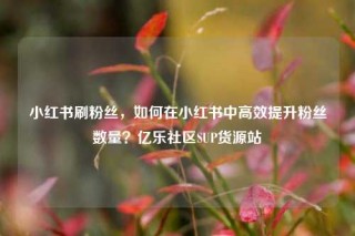 小红书刷粉丝，如何在小红书中高效提升粉丝数量？亿乐社区SUP货源站