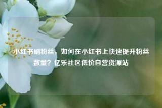小红书刷粉丝，如何在小红书上快速提升粉丝数量？亿乐社区低价自营货源站