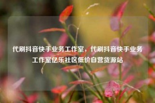 代刷抖音快手业务工作室，代刷抖音快手业务工作室亿乐社区低价自营货源站
