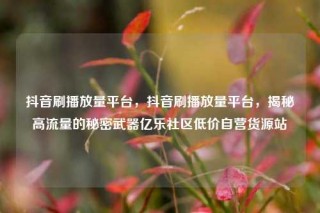 抖音刷播放量平台，抖音刷播放量平台，揭秘高流量的秘密武器亿乐社区低价自营货源站