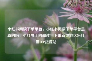 小红书阅读下单平台，小红书阅读下单平台是真的吗，小红书上的阅读与下单新体验亿乐社区SUP货源站