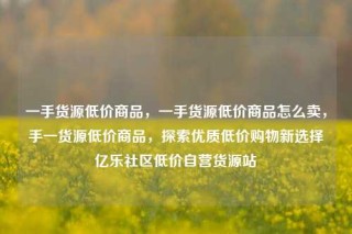 一手货源低价商品，一手货源低价商品怎么卖，手一货源低价商品，探索优质低价购物新选择亿乐社区低价自营货源站