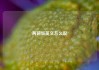两碗饭英文怎么说