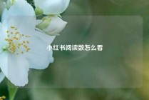 小红书阅读数怎么看