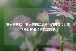 快手买粉丝，快手买粉丝热潮下的隐忧与反思亿乐社区低价自营货源站