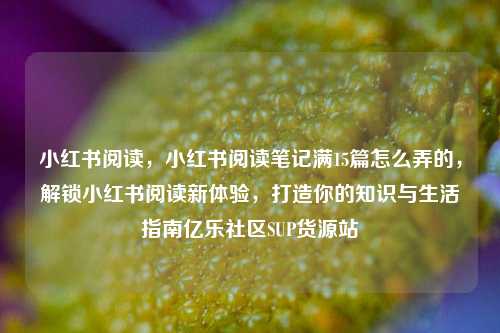 小红书阅读，小红书阅读笔记满15篇怎么弄的，解锁小红书阅读新体验，打造你的知识与生活指南亿乐社区SUP货源站  第1张