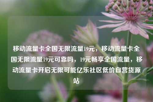 移动流量卡全国无限流量19元，移动流量卡全国无限流量19元可靠吗，19元畅享全国流量，移动流量卡开启无限可能亿乐社区低价自营货源站  第1张