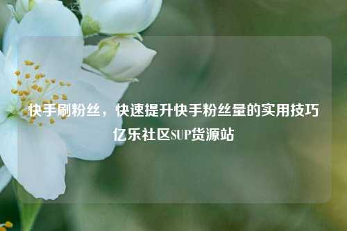 快手刷粉丝，快速提升快手粉丝量的实用技巧亿乐社区SUP货源站  第1张