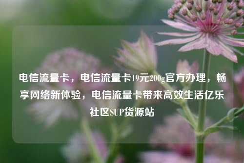 电信流量卡，电信流量卡19元200g官方办理，畅享网络新体验，电信流量卡带来高效生活亿乐社区SUP货源站  第1张