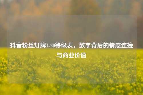 抖音粉丝灯牌1-20等级表，数字背后的情感连接与商业价值  第1张