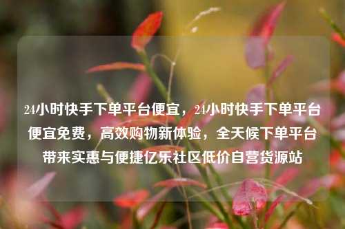 24小时快手下单平台便宜，24小时快手下单平台便宜免费，高效购物新体验，全天候下单平台带来实惠与便捷亿乐社区低价自营货源站  第1张