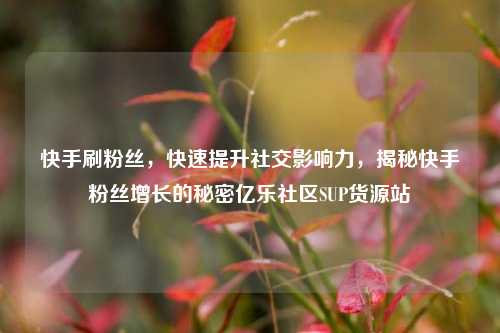 快手刷粉丝，快速提升社交影响力，揭秘快手粉丝增长的秘密亿乐社区SUP货源站  第1张