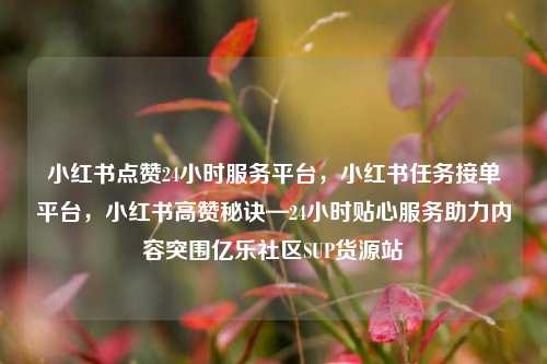 小红书点赞24小时服务平台，小红书任务接单平台，小红书高赞秘诀—24小时贴心服务助力内容突围亿乐社区SUP货源站  第1张