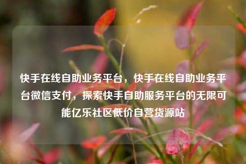 快手在线自助业务平台，快手在线自助业务平台微信支付，探索快手自助服务平台的无限可能亿乐社区低价自营货源站  第1张