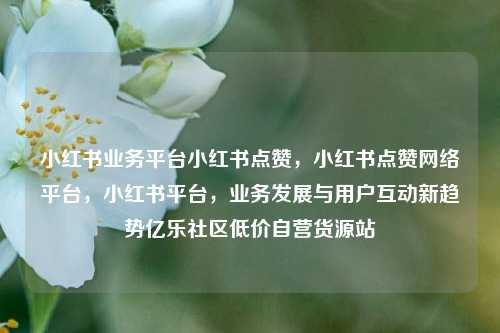 小红书业务平台小红书点赞，小红书点赞网络平台，小红书平台，业务发展与用户互动新趋势亿乐社区低价自营货源站  第1张