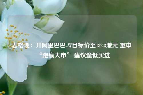 麦格理：升阿里巴巴-W目标价至182.3港元 重申“跑赢大市” 建议逢低买进  第1张