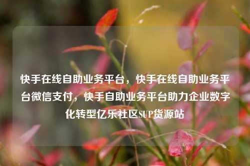 快手在线自助业务平台	，快手在线自助业务平台微信支付，快手自助业务平台助力企业数字化转型亿乐社区SUP货源站  第1张